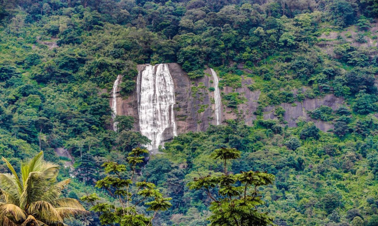 Treebo Trend Misty Garden Resorts With Mountain View Munnar Εξωτερικό φωτογραφία